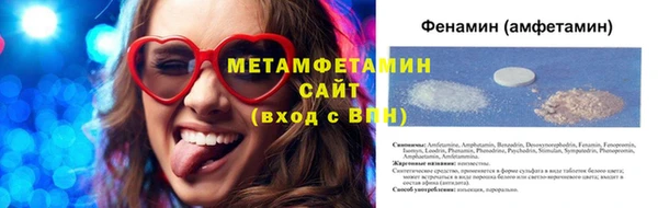 ПСИЛОЦИБИНОВЫЕ ГРИБЫ Алексин