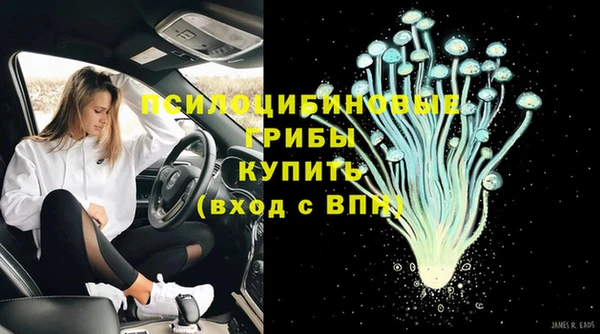 тгк Абдулино