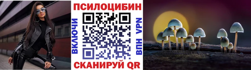 Галлюциногенные грибы мицелий Александровск-Сахалинский